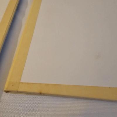 Natural Fern Leaf Pressings Under Glass  (PS-JS)