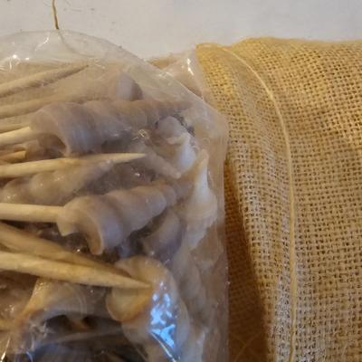 Seashells, Abalone & More  (PS-JS)