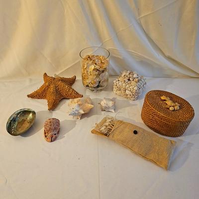 Seashells, Abalone & More  (PS-JS)