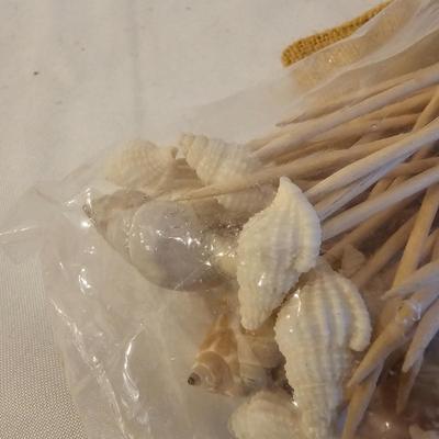Seashells, Abalone & More  (PS-JS)