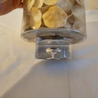 Seashells, Abalone & More  (PS-JS)