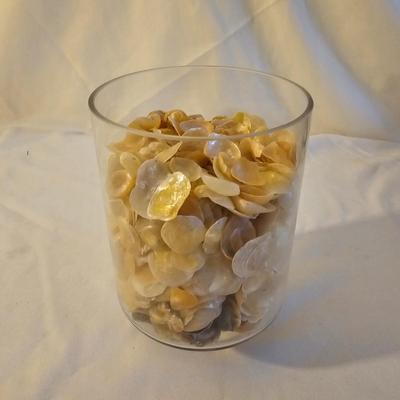 Seashells, Abalone & More  (PS-JS)