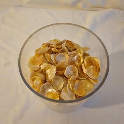 Seashells, Abalone & More  (PS-JS)