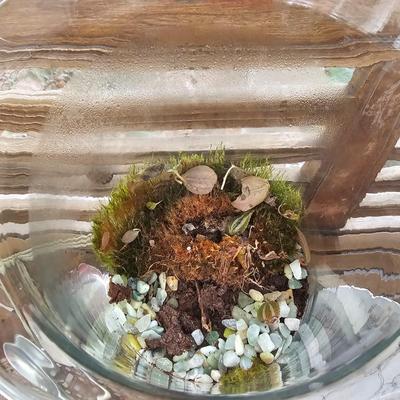 Assorted Pots & Garden Items  (BP-JS)