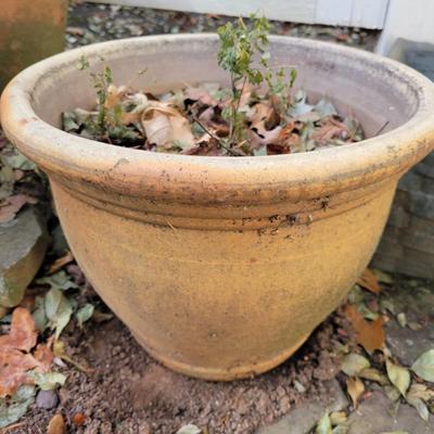 Ceramic and Terracotta Planters (BY-DW)