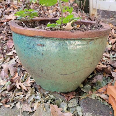 Ceramic and Terracotta Planters (BY-DW)