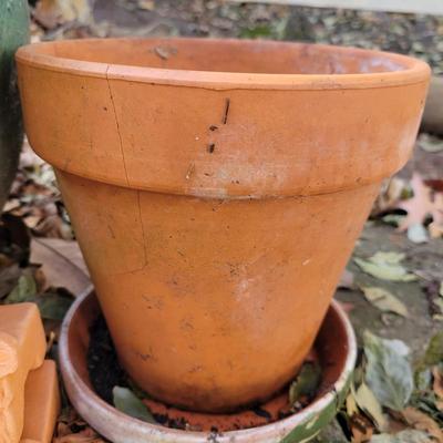 Ceramic and Terracotta Planters (BY-DW)