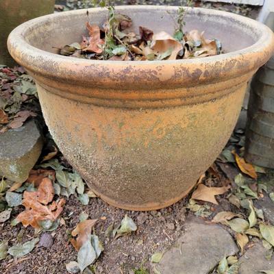 Ceramic and Terracotta Planters (BY-DW)