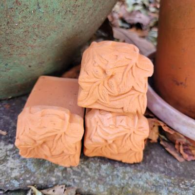 Ceramic and Terracotta Planters (BY-DW)