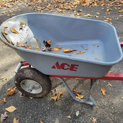 Ace Wheelbarrow, Werner Extension Ladder and More (BY-DW)