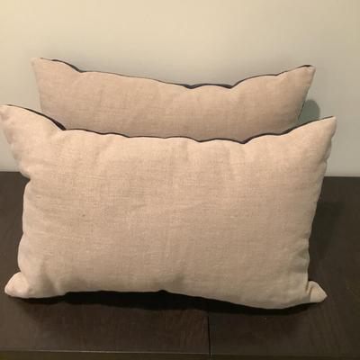 325 Lot of 3 Accent Pillows with One Pillow Cover