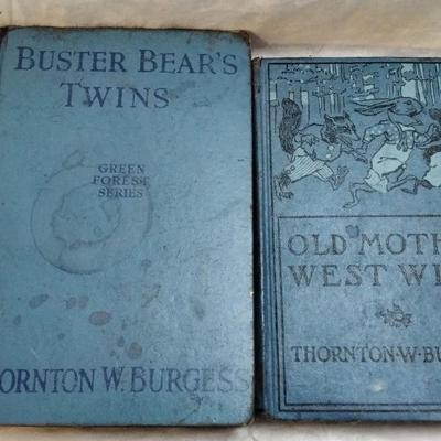 Lot of Antique Books