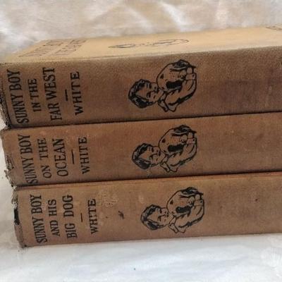 Lot of Antique Books