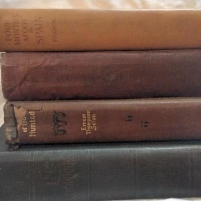 Lot of Antique Books