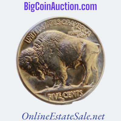 1938 BUFFALO NICKEL