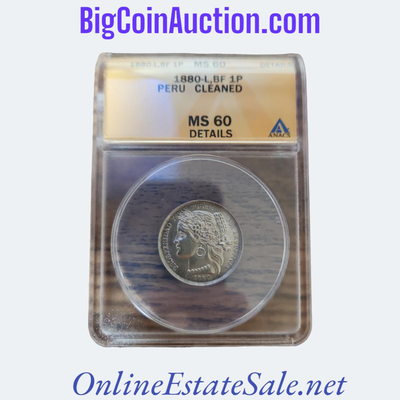 1880 PERU CLEANED COIN