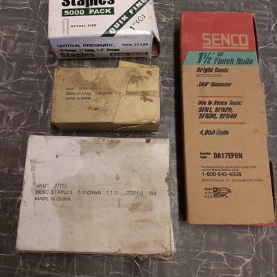 Assortment of Staples and brad nails