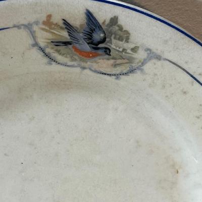Antique Blue Bird Plates 