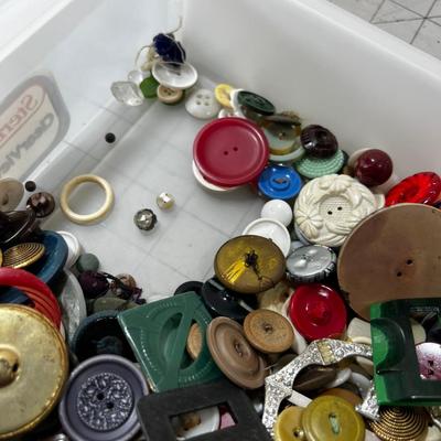 Delightful collections of Buttons!