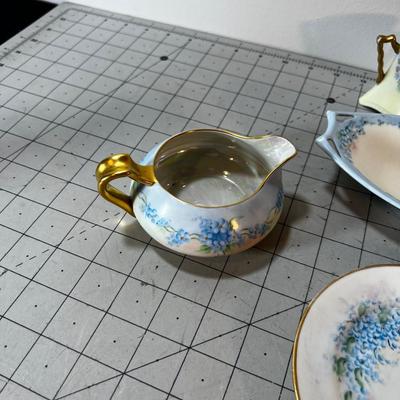 Hand Painted Blue Possies  China From the 1920's 