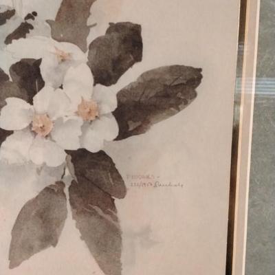 David Nichols Primrose Signed and Numbered Framed Print 232/1950