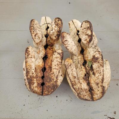 Rare Hubley Cast Iron Rabbits (BP-CE)