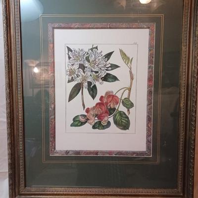 Beautifully Framed and Matted Floral Print