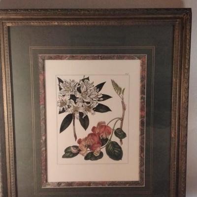 Beautifully Framed and Matted Floral Print