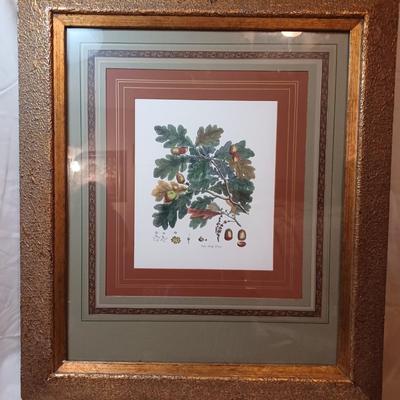 The Oak Tree Framed and Matted Print