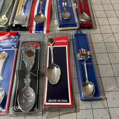 (11) Collector Spoons in their Boxes