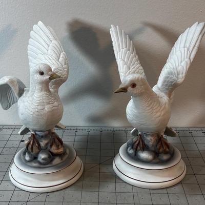 White Delightsome Doves by Andrea
