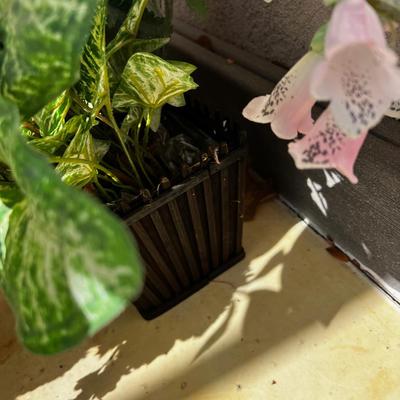 Plants and Faux Florals Outside
