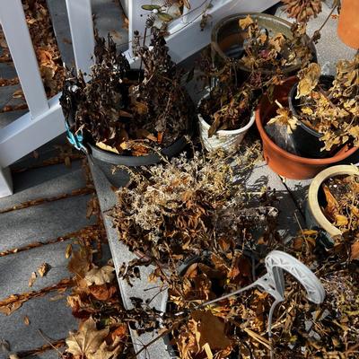 Large pile of Real Plants and Flowers out of season