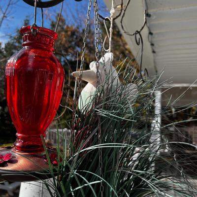 Hanging Feeders, pots and decorations