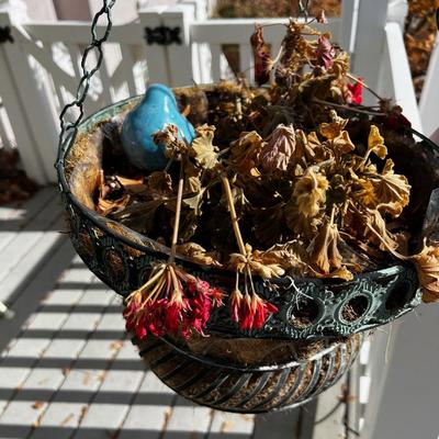 Hanging Feeders, pots and decorations