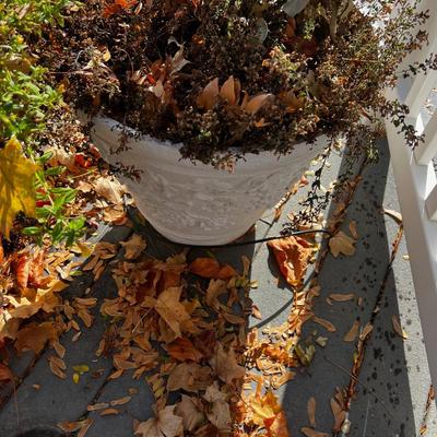 2 LARGE Plastic Planters with plants. 