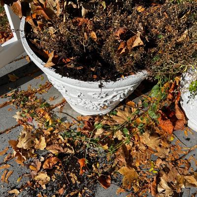 2 LARGE Plastic Planters with plants. 