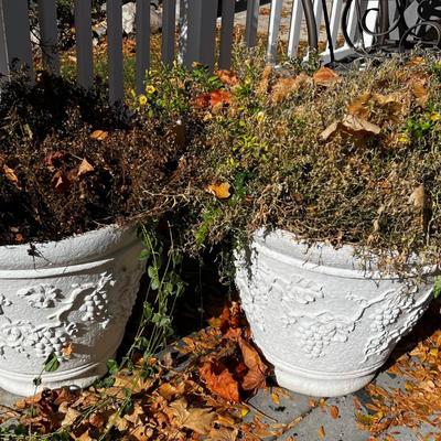 2 LARGE Plastic Planters with plants. 