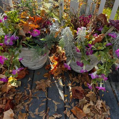 2 Medium  Plastic Planters with plants. 