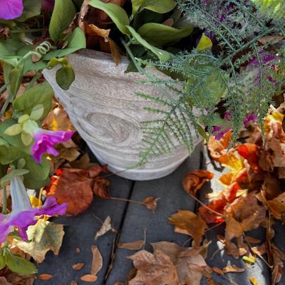 2 Medium  Plastic Planters with plants. 