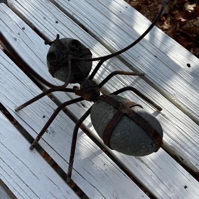 Darling Rock ANT 