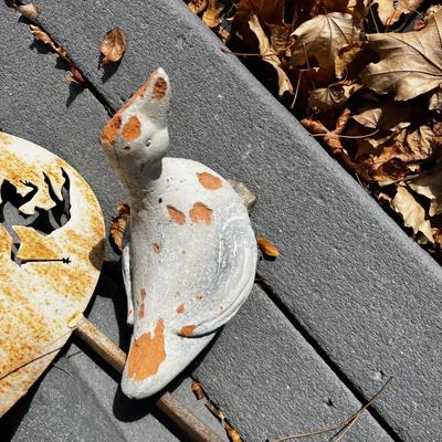 Fairy Garden and a Terracotta Duck