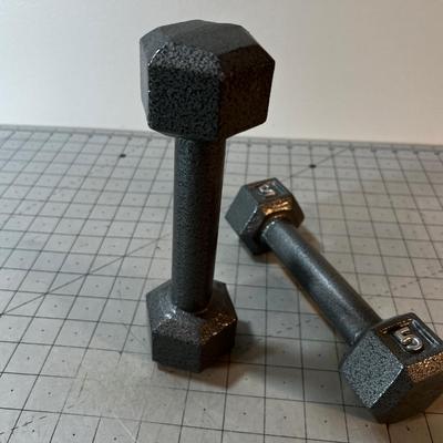 5 pound Dumbbell Set 