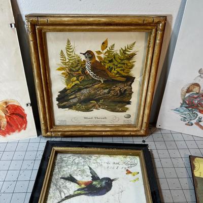 Pictures, Plaques and Signs: Birds and flowers