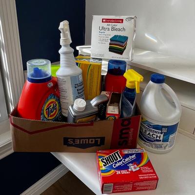 Box full of Landry Supplies 