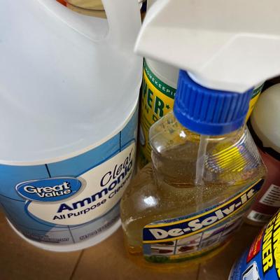 Box full of Cleaning Products