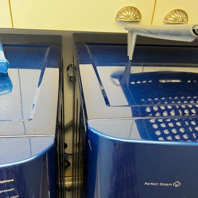BLUE Electra Lux Dryer GAS!