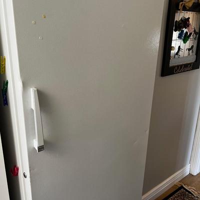 Amana Upright Freezer 