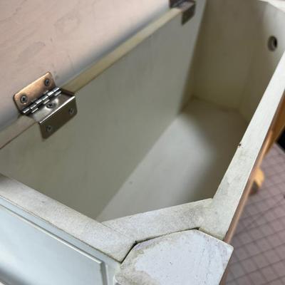 Step Stool with Storage Cubby 