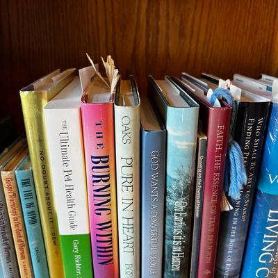 2 Shelves of LDS Books 